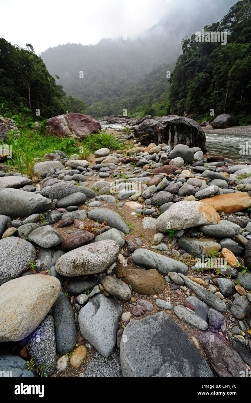 Peu d'écoulement d'eau riverains lapidation , Honduras, le parc national Pico Bonito Banque D'Images