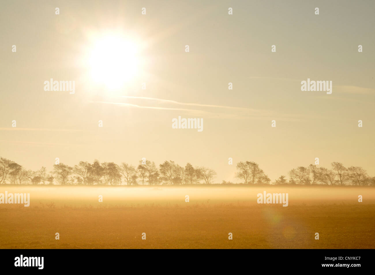 Lever du soleil avec la brume du matin au domaine du paysage, de l'Allemagne, Mecklenburg Vorpommern Banque D'Images