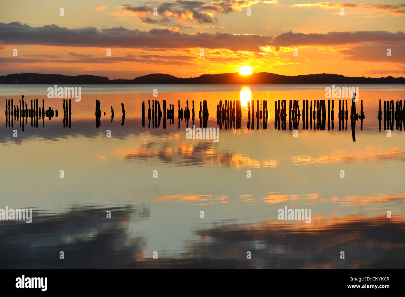 Silhouettes de piliers de bois dans l'eau dans le coucher du soleil, de l'Allemagne, Mecklembourg-Poméranie-Occidentale Banque D'Images