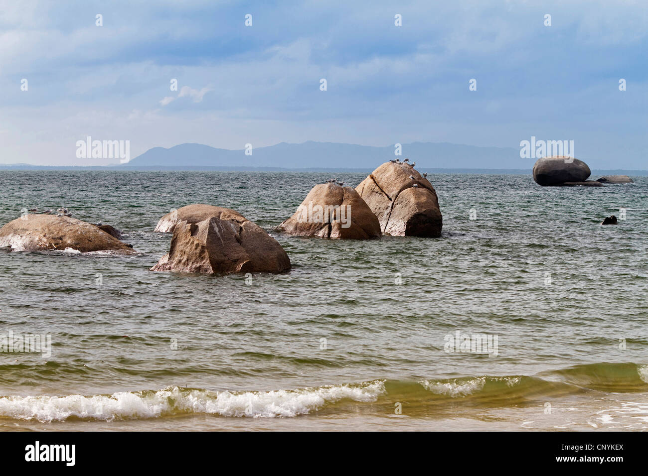 Des pierres sur la plage de Chili, l'Australie, Queensland, Iron Range National Park, Cape York Banque D'Images