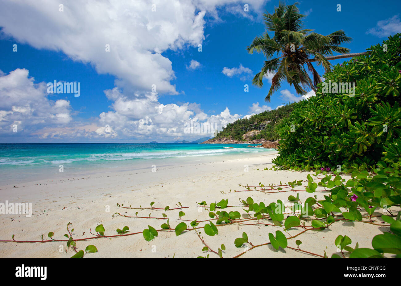 La plage de sable tropicale, Seychelles, Mahe Banque D'Images