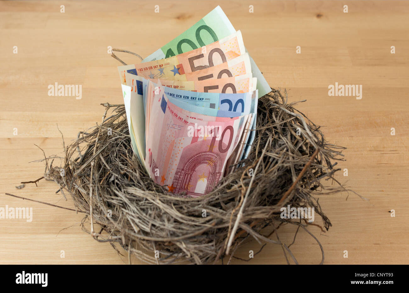 Billets en euros dans un nid Banque D'Images
