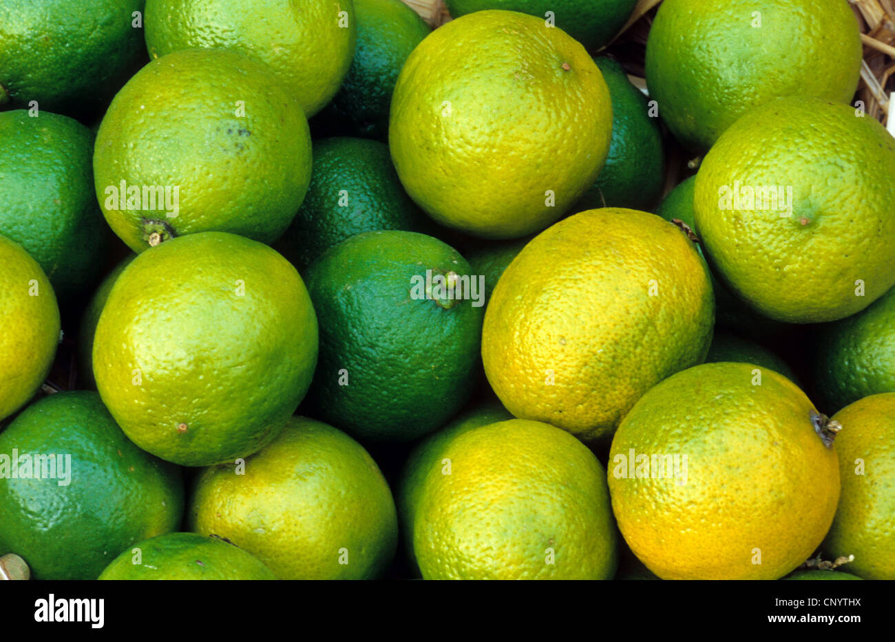 Fruits de lime (Citrus aurantifolia), sur un marché Banque D'Images