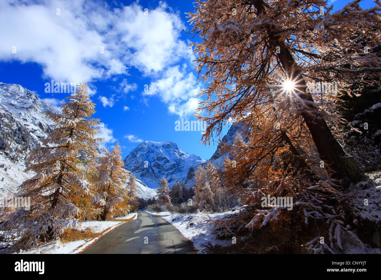 Paysage de montagne enneigée avec le Mont Collon, la vallée d'Arolla, Suisse, Valais Banque D'Images