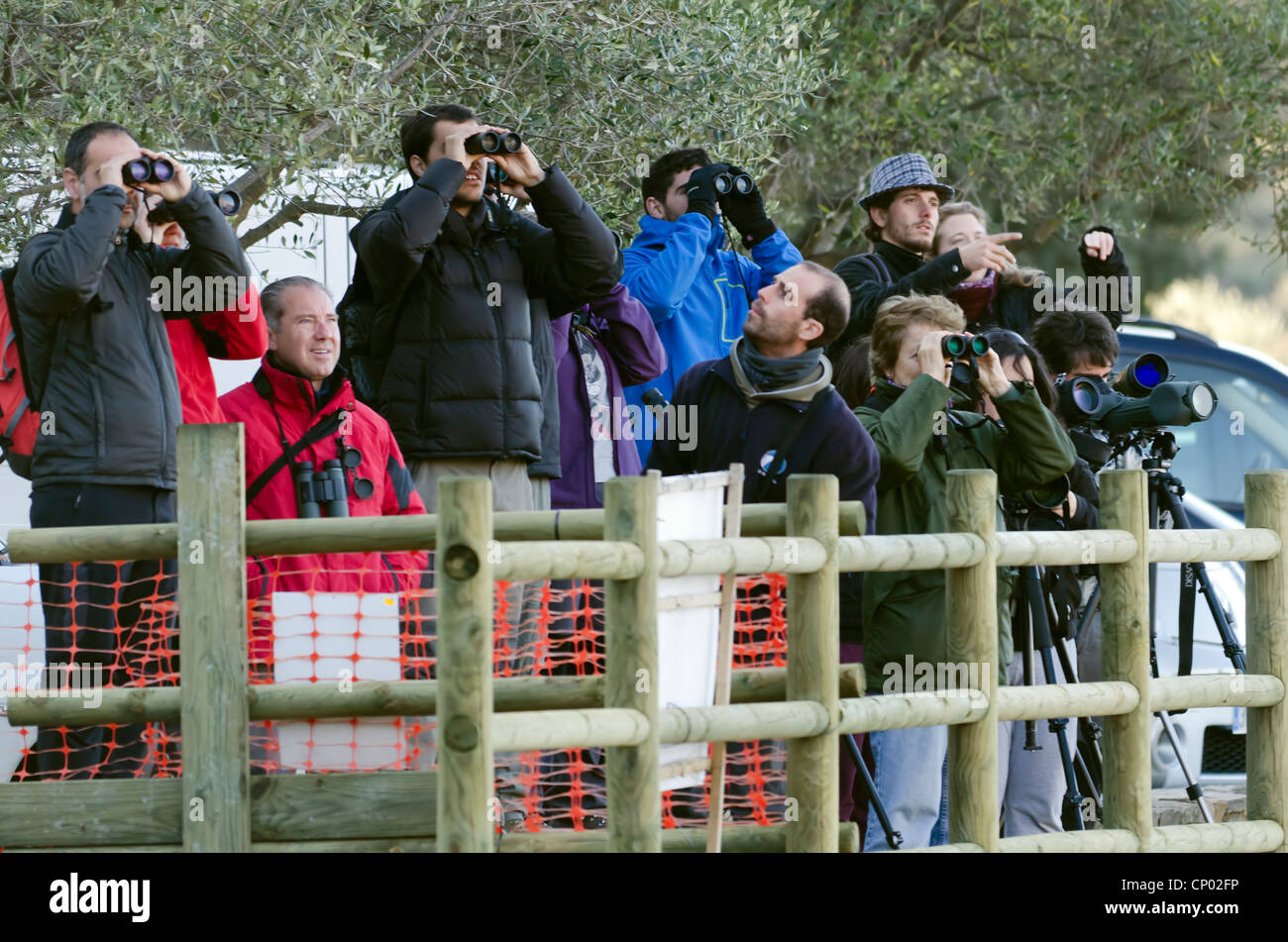 Un groupe de personnes faisant l'observation des oiseaux au parc national Monfrague en Espagne Banque D'Images