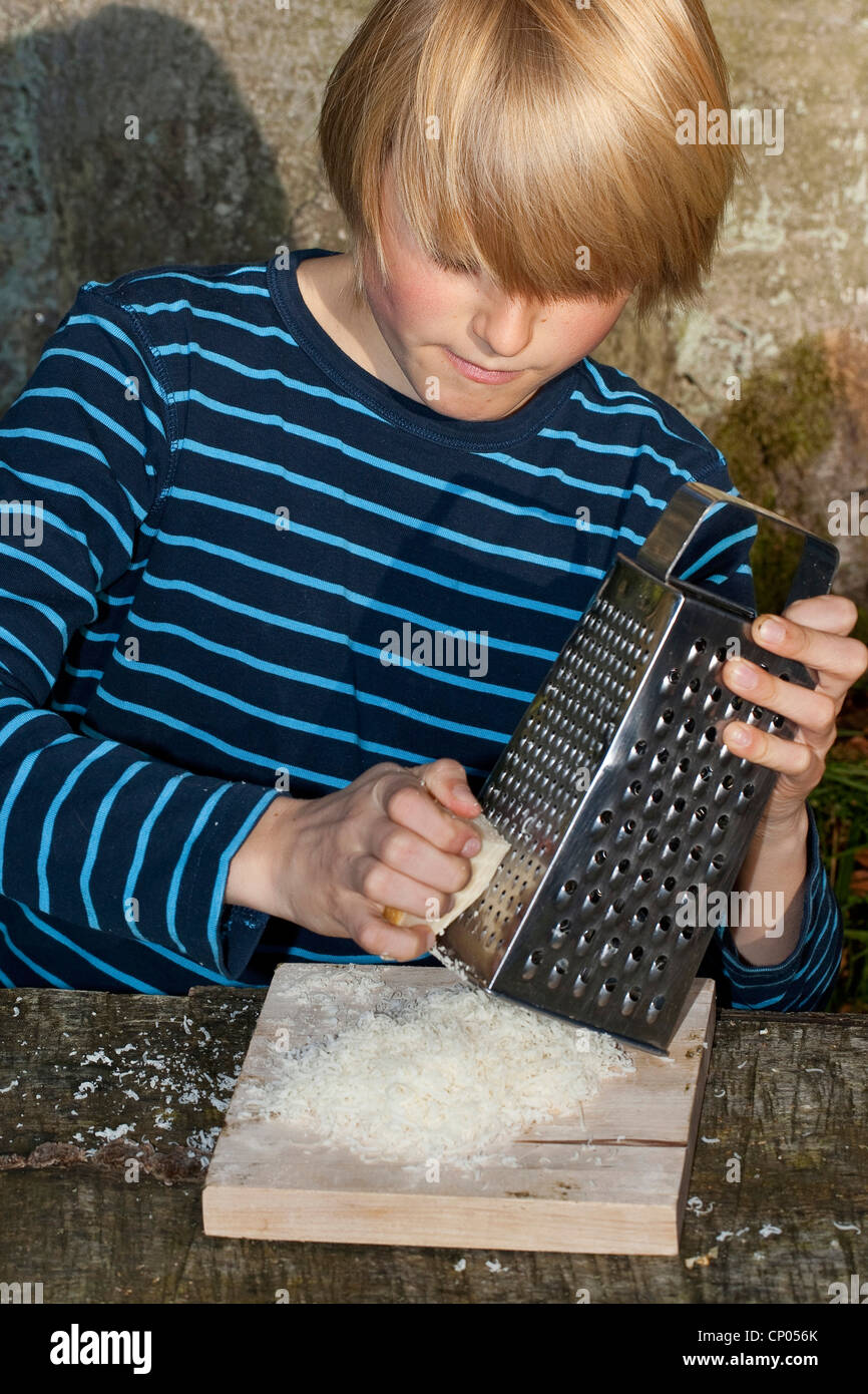 Boy making pesto de noix auto-prélevés et les graines de tournesol, de parmesan râpé est, Allemagne Banque D'Images