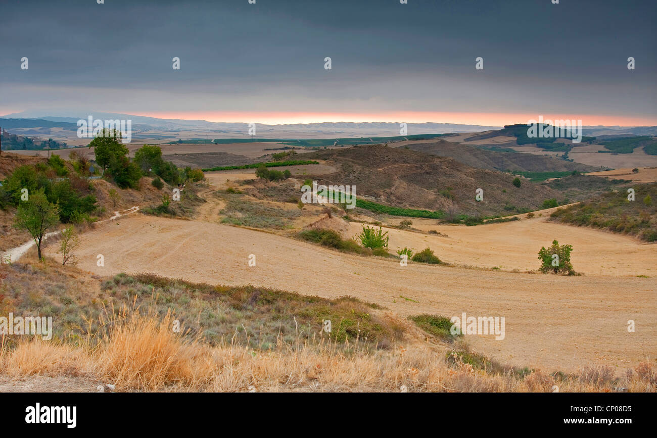 Matin humeur au chemin de Frances à la manière de Torres del Ro à Viana, Espagne, Pays Basque, Navarre Banque D'Images