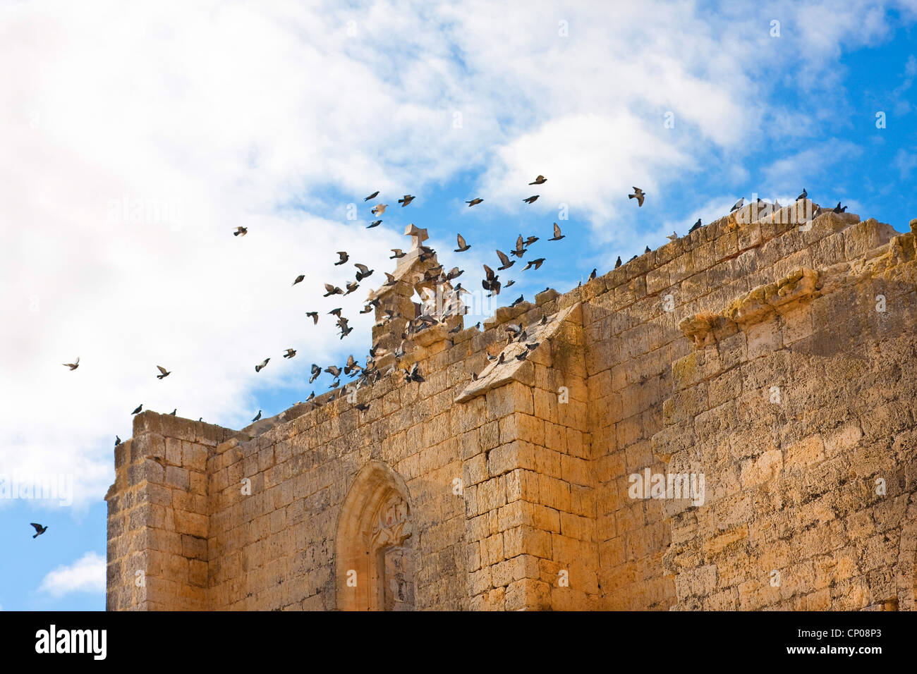 Les pigeons voler ver la ruine de l'église, l'Espagne, Antonius Kastilien und Len, Burgos, San Anton Banque D'Images