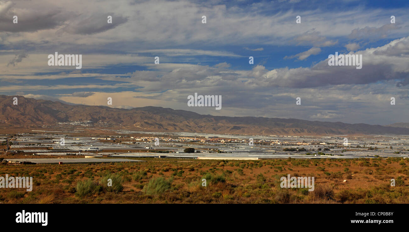 Paysage avec des serres, Espagne, Las Castilias Atochara de Banque D'Images