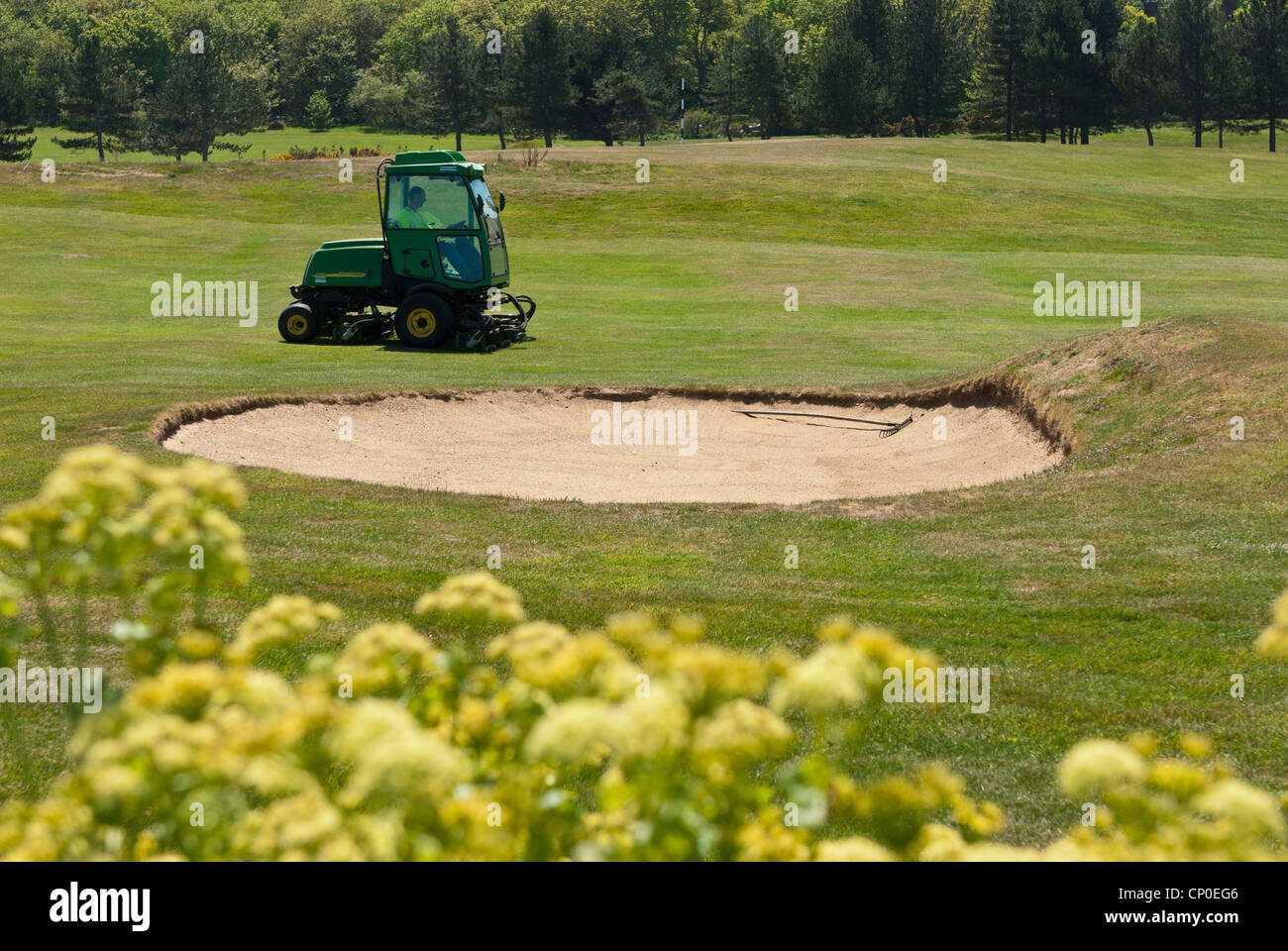 Green-keeper golf coupe près de bunker de fairway Banque D'Images