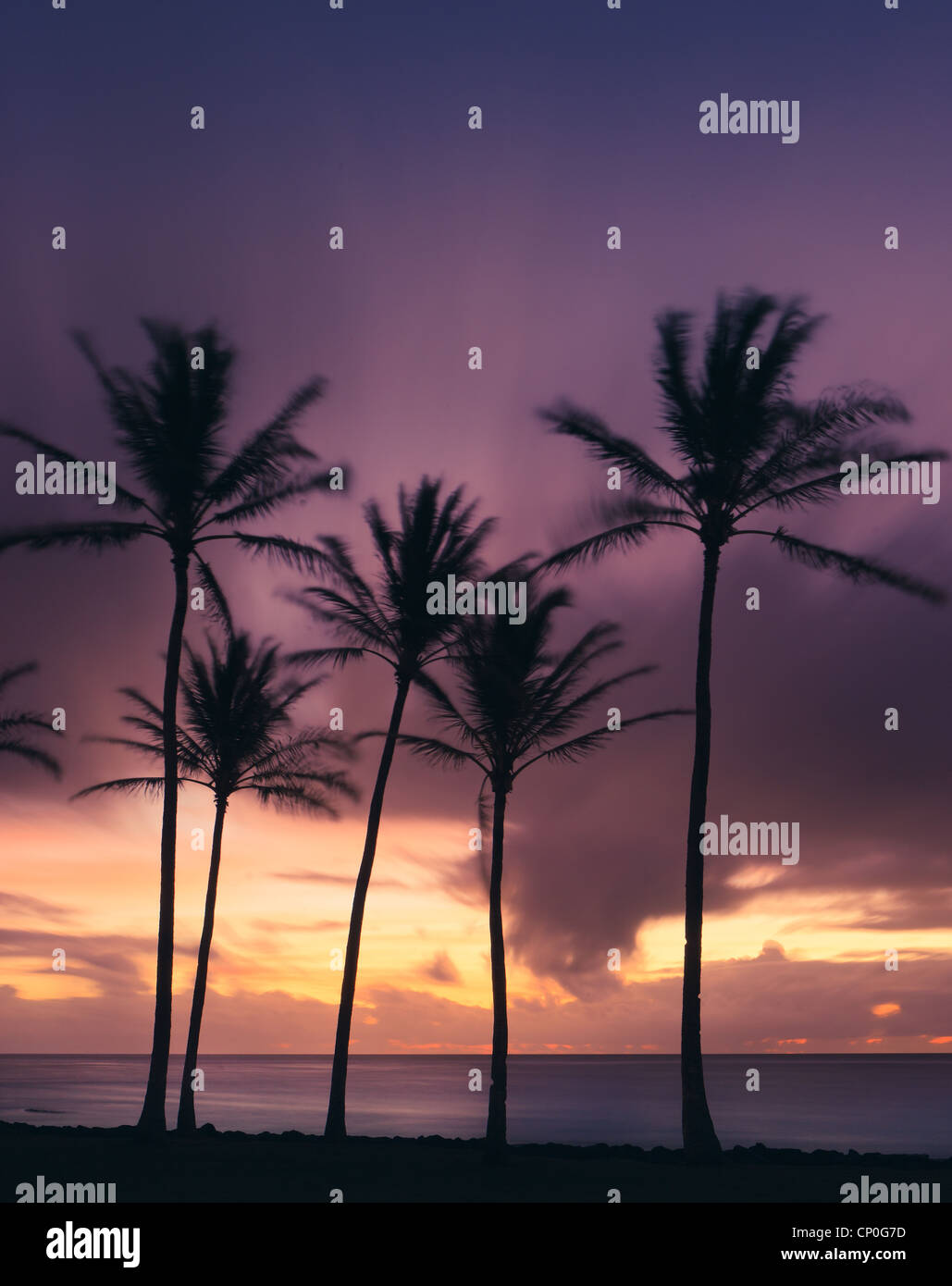 Lever du soleil à Kapaa Beach Park avec des palmiers - côte est de Kauai, Hawaii Banque D'Images