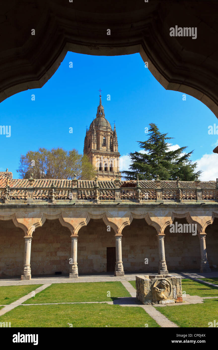 Université de Salamanque - Patio de las escuelas Menores Banque D'Images