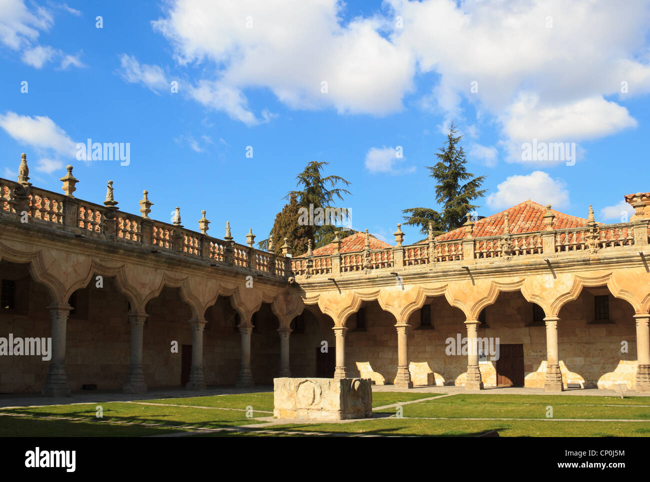 Université de Salamanque - Patio de las escuelas Menores Banque D'Images