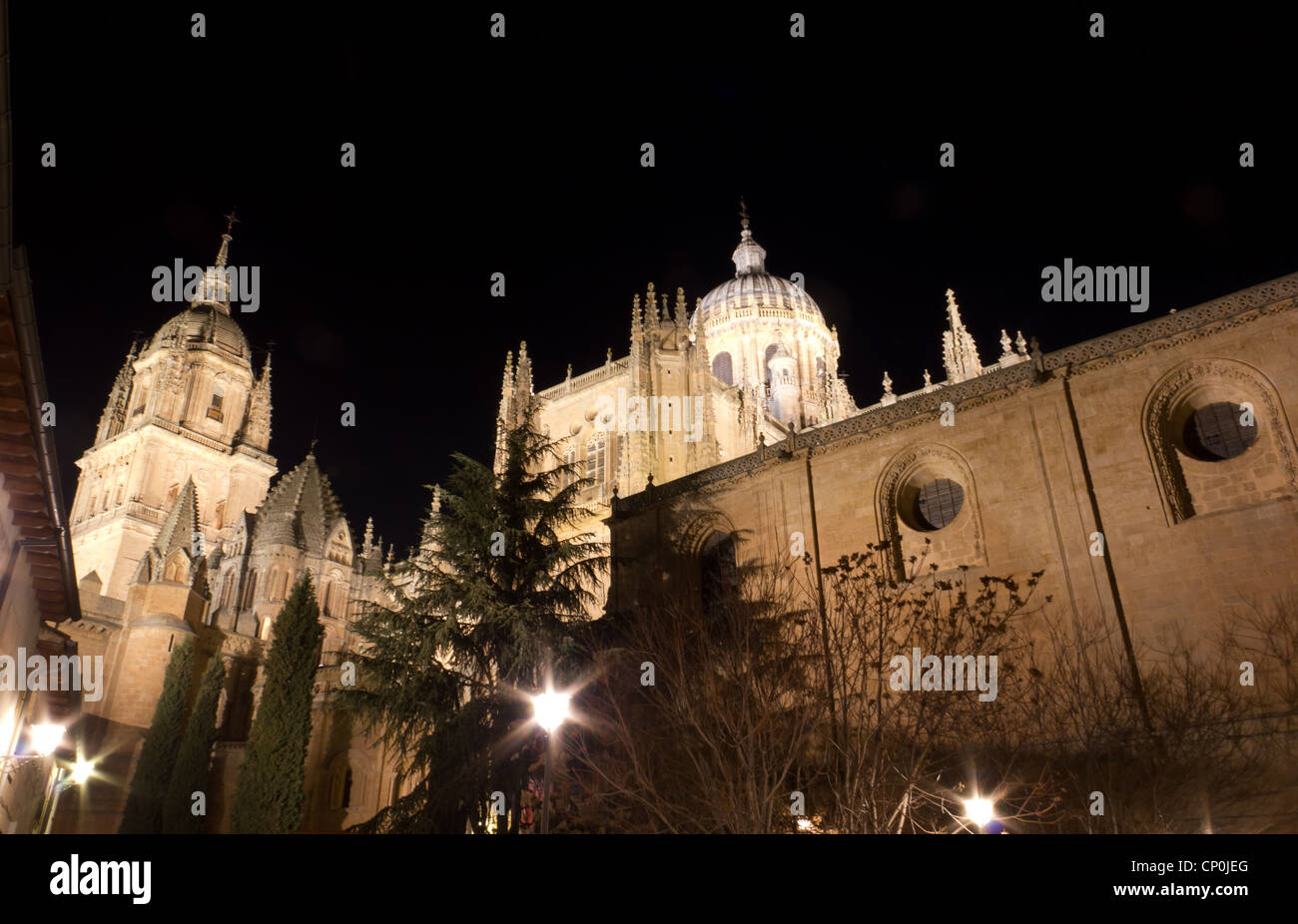 Une vue de la nuit de la cathédrale de Salamanque Banque D'Images