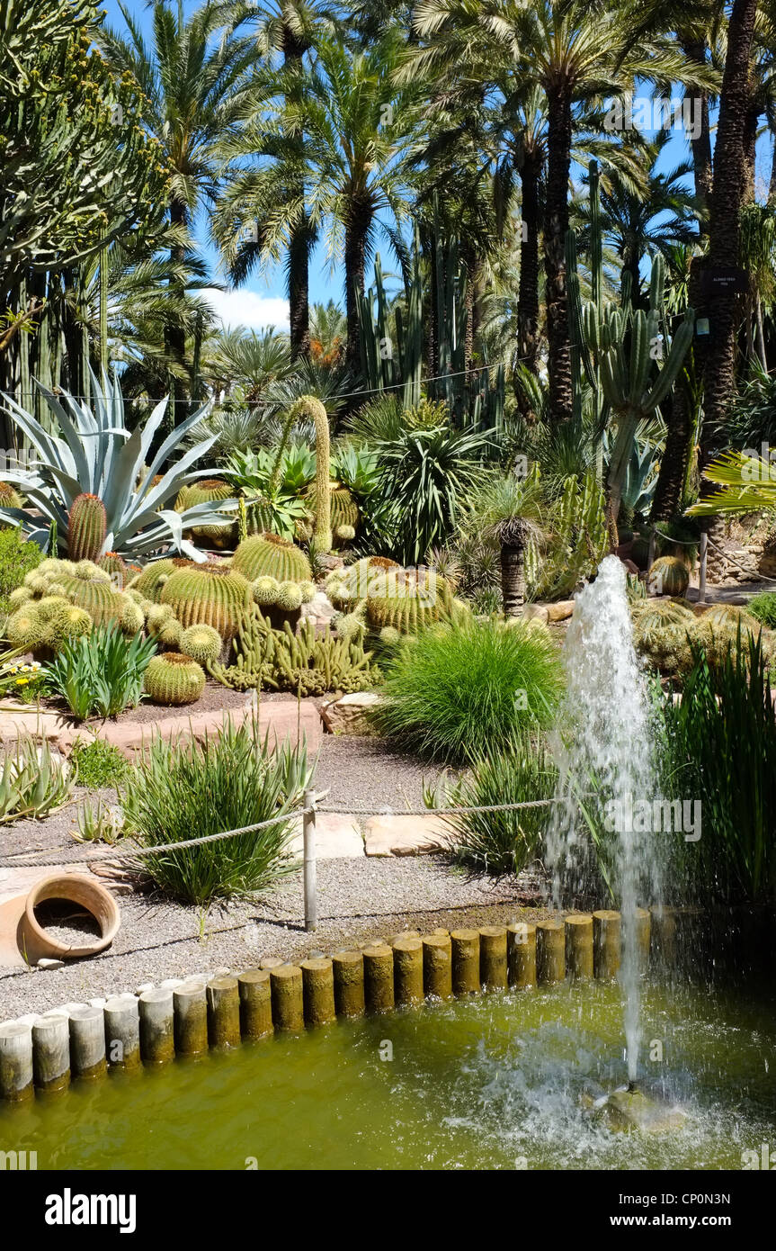 Huerto del Cura jardin à Elche, Costa Blanca, Espagne Banque D'Images