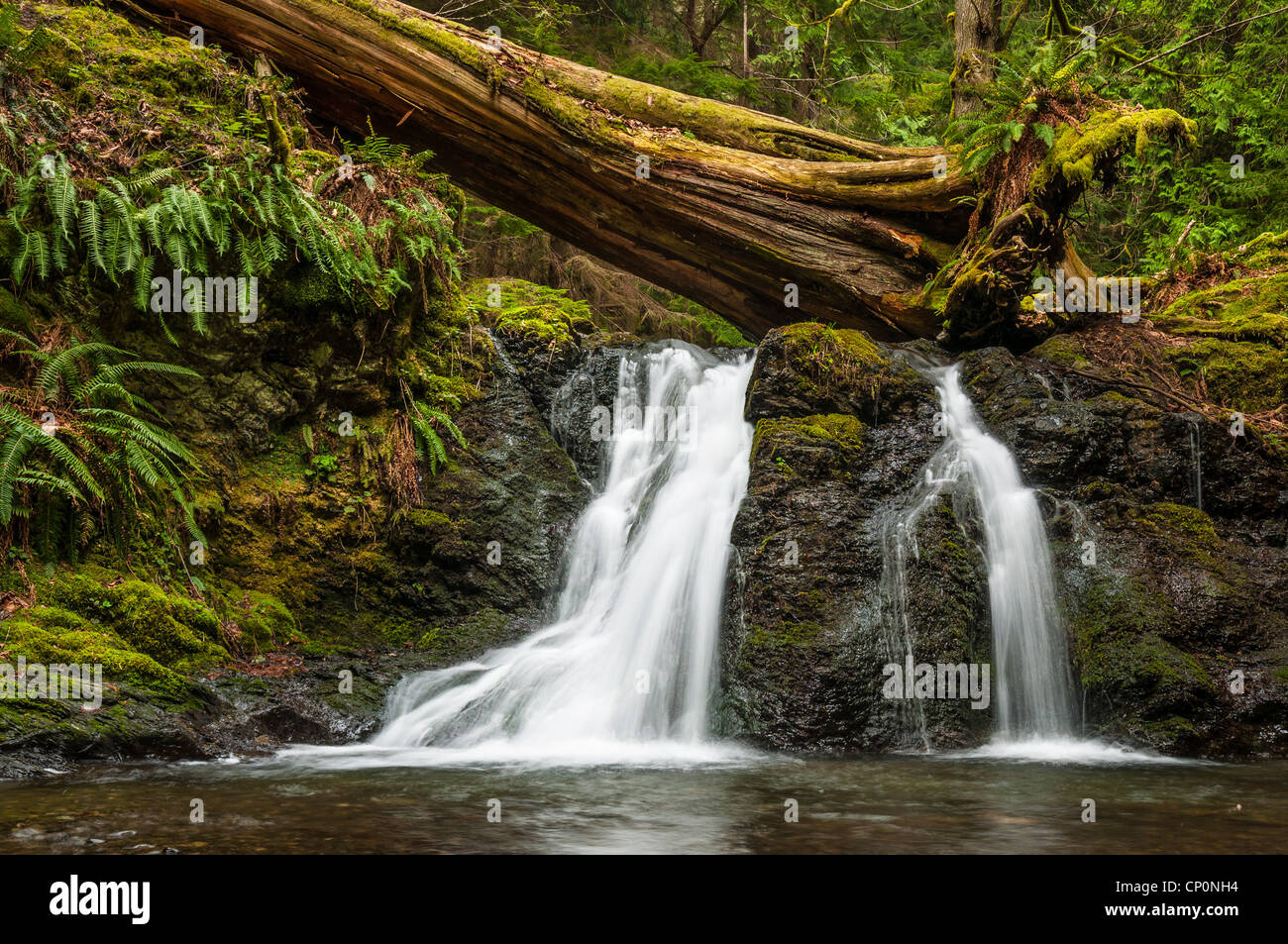 Chutes rustique, Moran State Park, Orcas Island ; îles San Juan, Puerto Rico. Banque D'Images