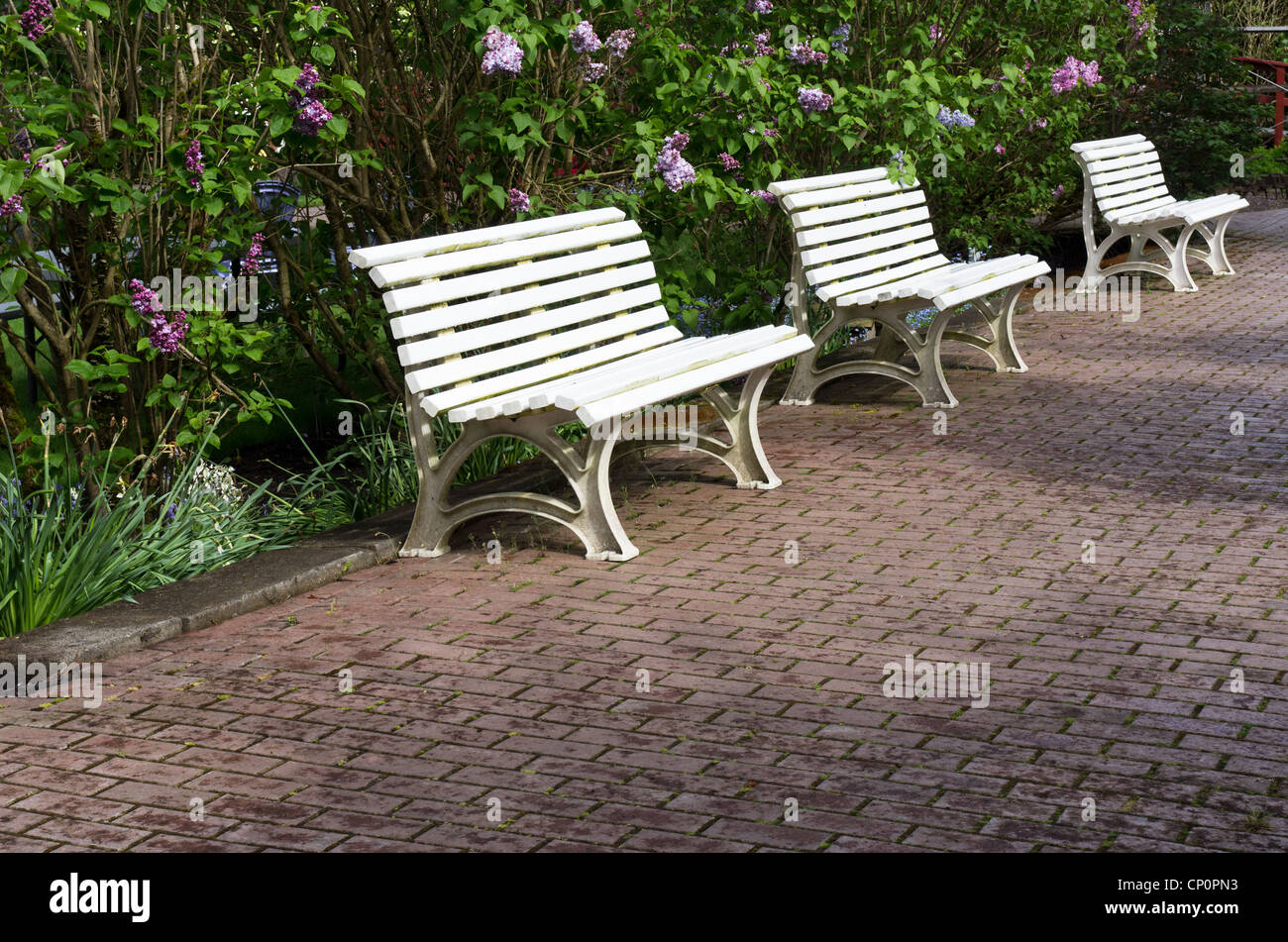 Trois bancs de jardin blanc assis sur une voie pavée Banque D'Images