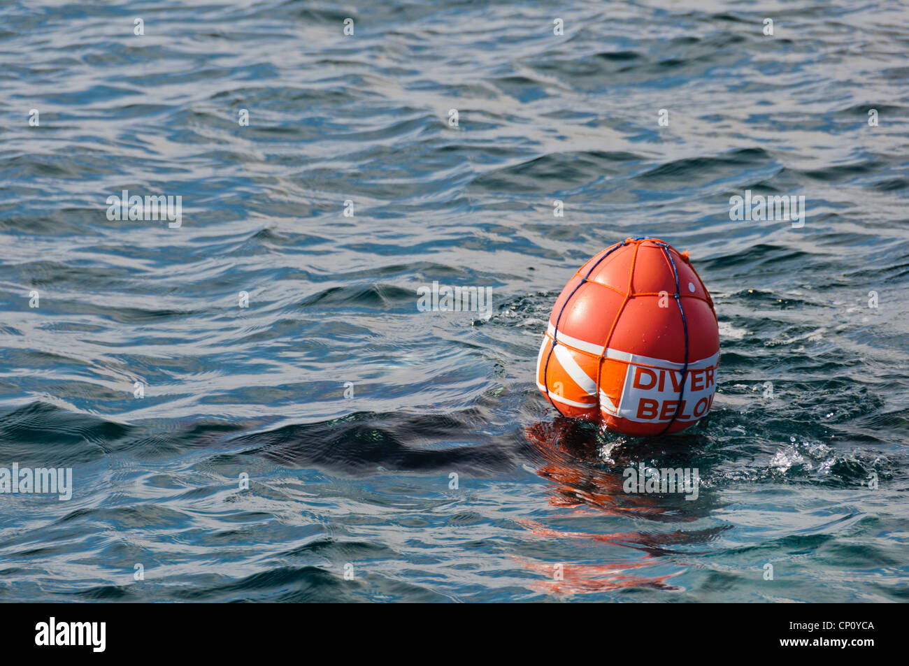 La plongée bouée de surface ballon SMB 'DIVER CI-DESSOUS' flag Banque D'Images