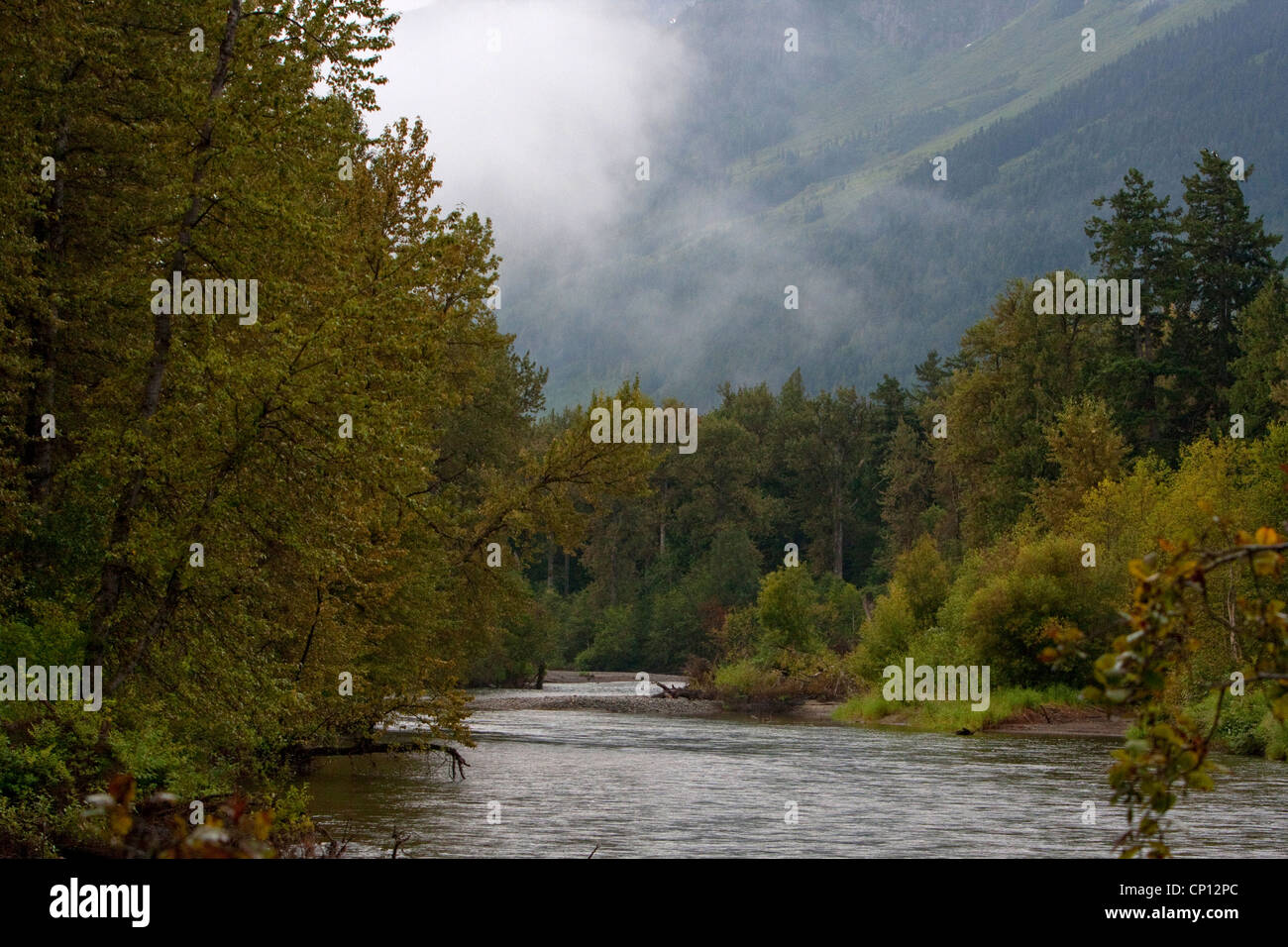 Un tronçon de la rivière Atnarko près de Bella Coola dans le parc provincial Tweedsmuir, British Columbia, Canada en août. Banque D'Images