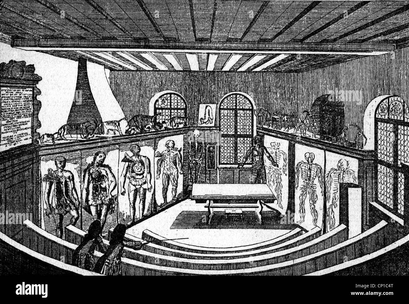 Médecine, anatomie, 'théâtre anatomique', salle de conférence anatomique, de l'Université Altdorf, gravure en cuivre par Puschner, 18ème siècle, , droits additionnels-Clearences-non disponible Banque D'Images