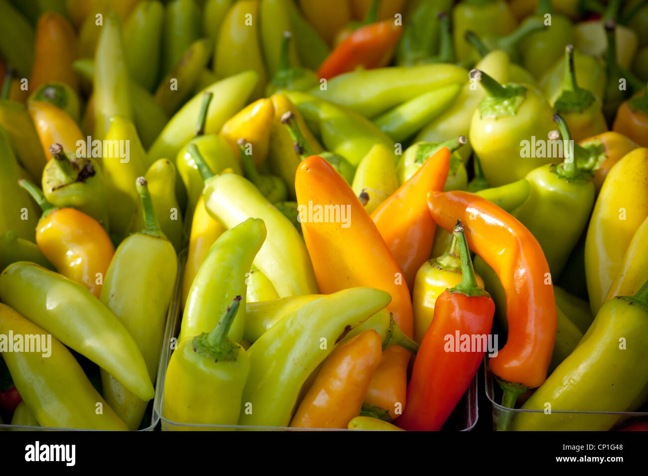 Poivrons frais Banque de photographies et d’images à haute résolution ...