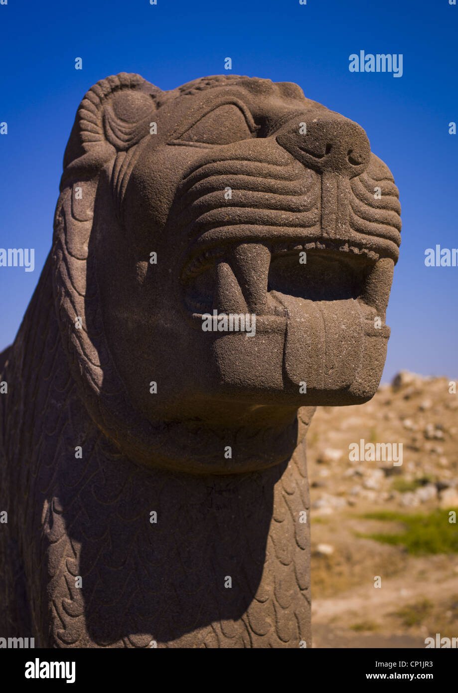 Basalte massif Sculpture Lion Hittite, la Syrie Banque D'Images