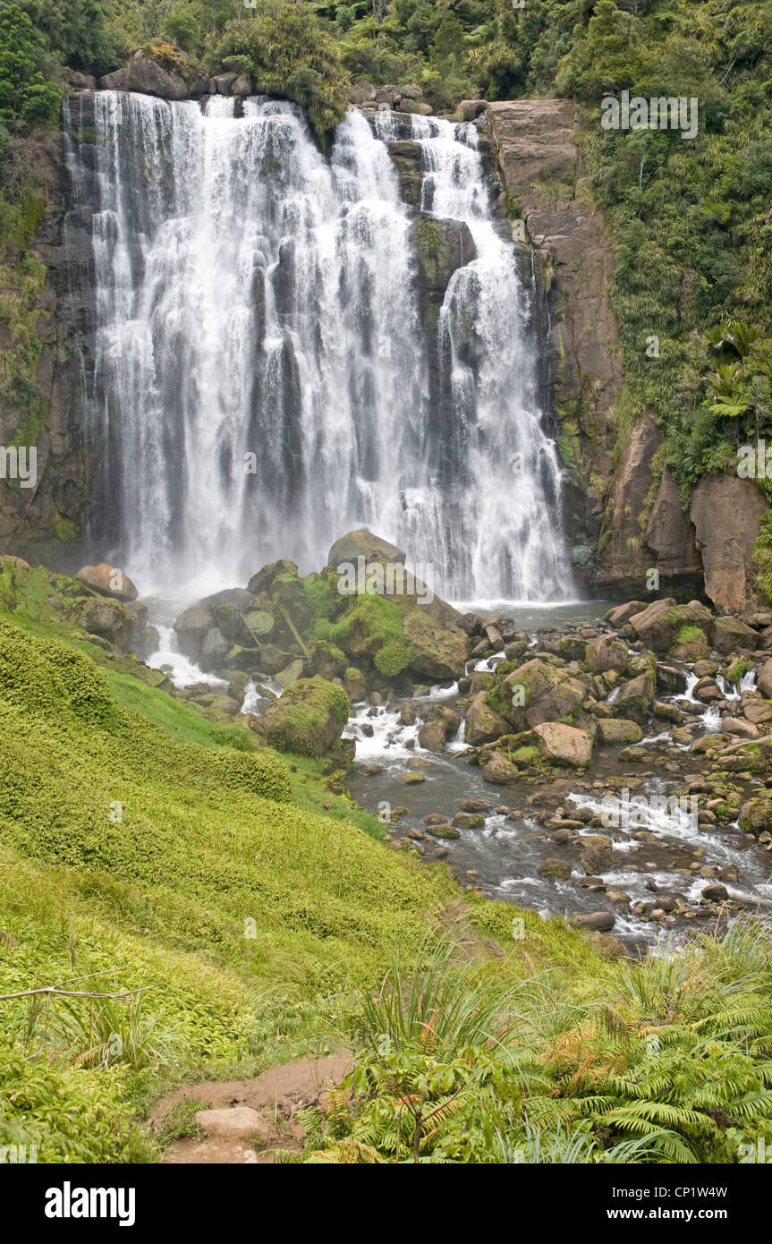 Marokopa Falls, North Island, New Zealand Banque D'Images