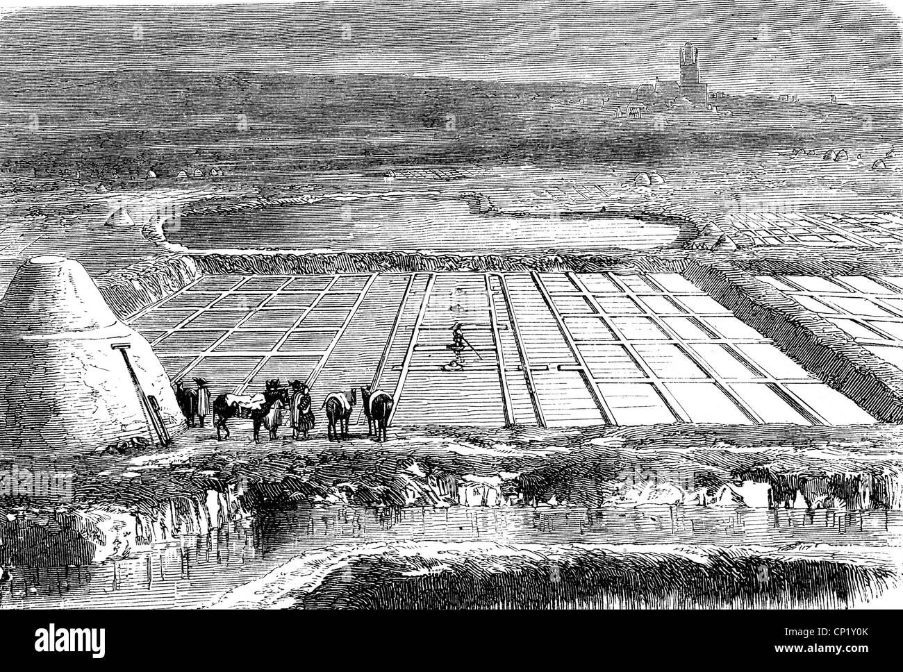 Industrie, sel, salin à la mer Méditerranée, gravure de bois, 2ème moitié du 19e siècle, sel marin, historique, historique, peuple, droits additionnels-Clearences-non disponible Banque D'Images