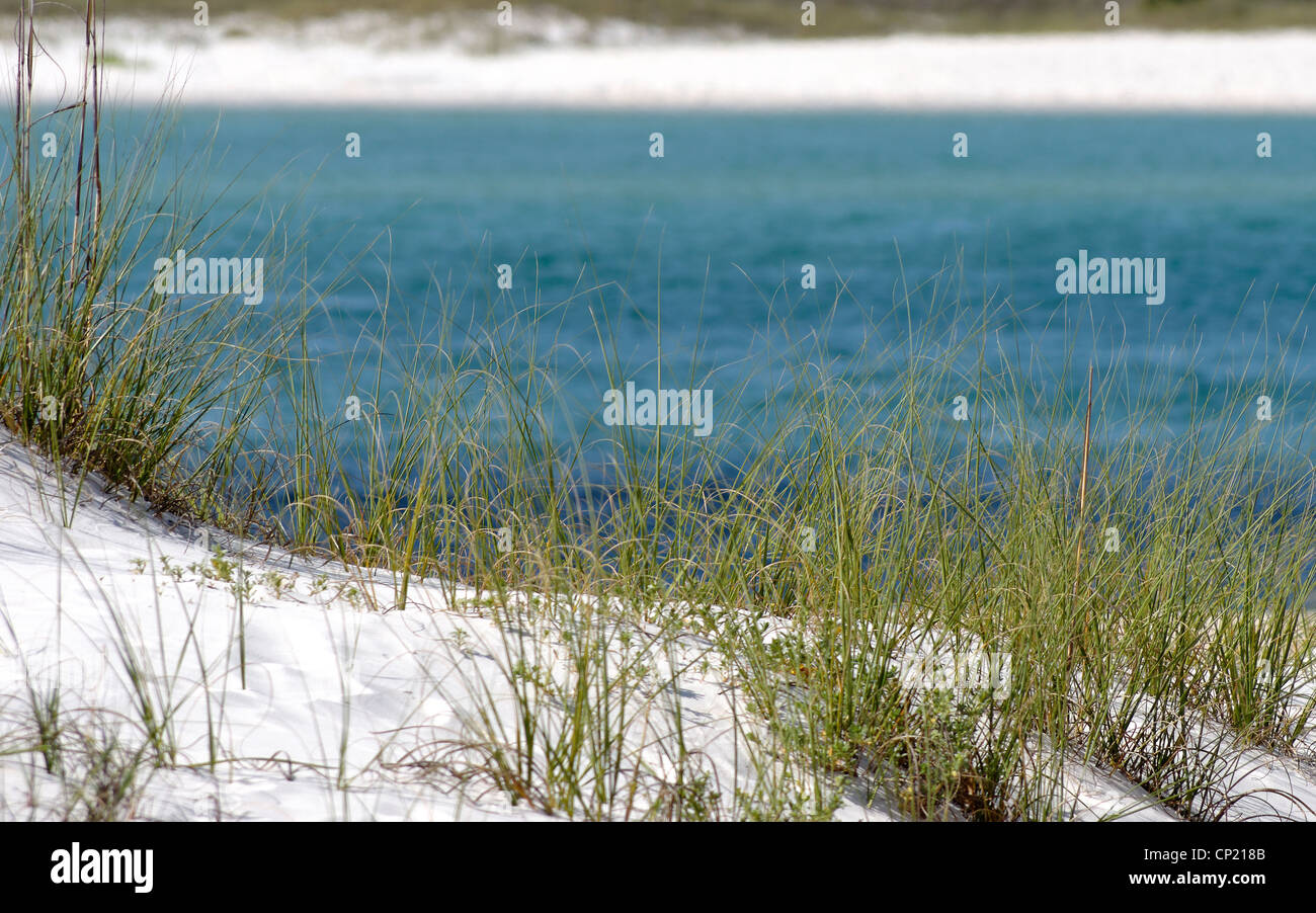 Plage paysage sur la côte du golfe de l'Alabama. Banque D'Images