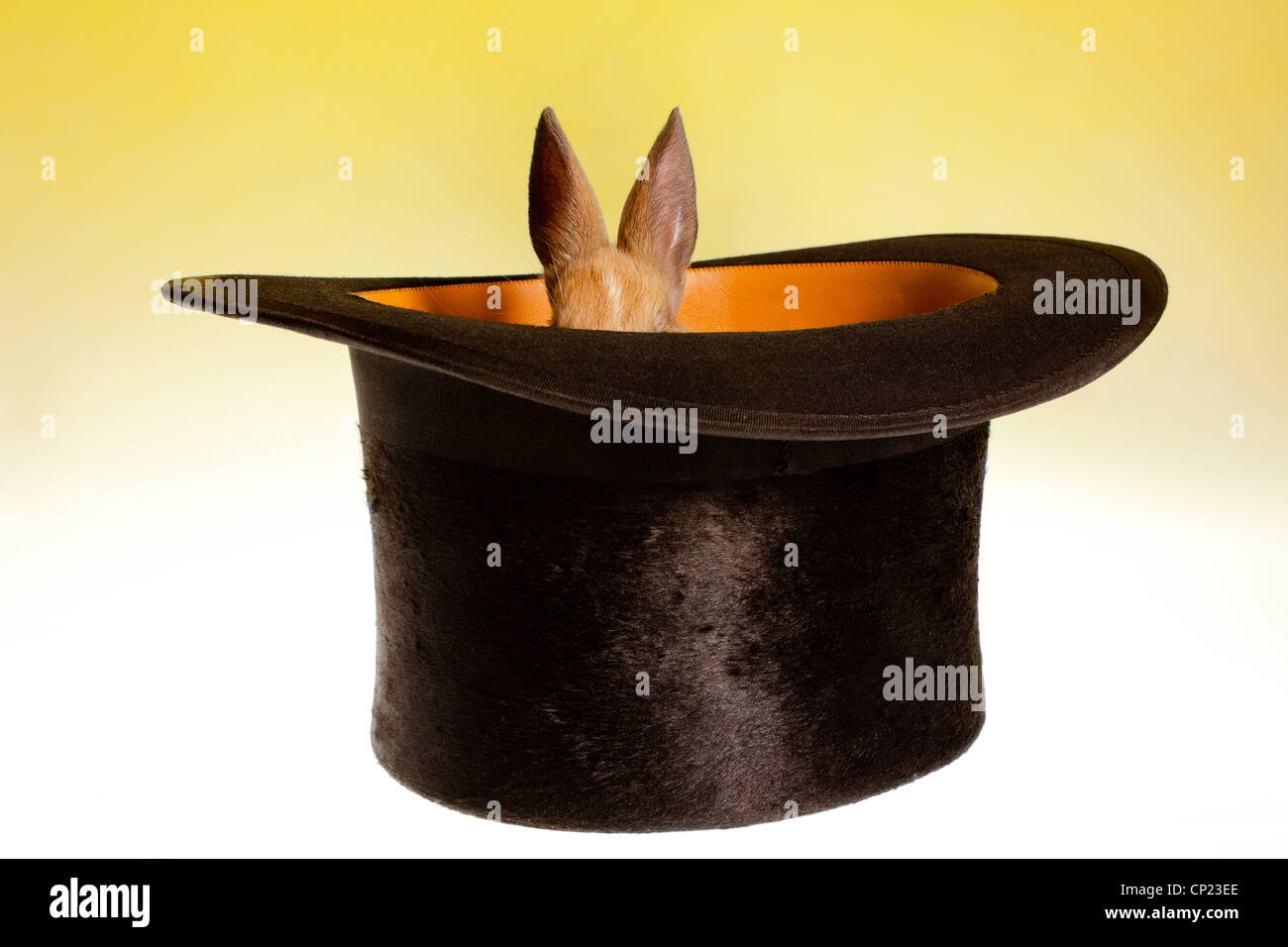 Chapeau magique cache un lapin drôle c'est trop petit Photo Stock - Alamy