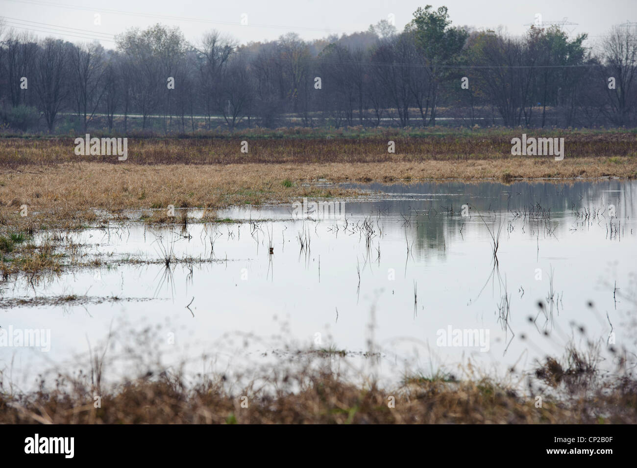 Des zones humides par l'homme avec l'échassier, Pennsylvanie Banque D'Images