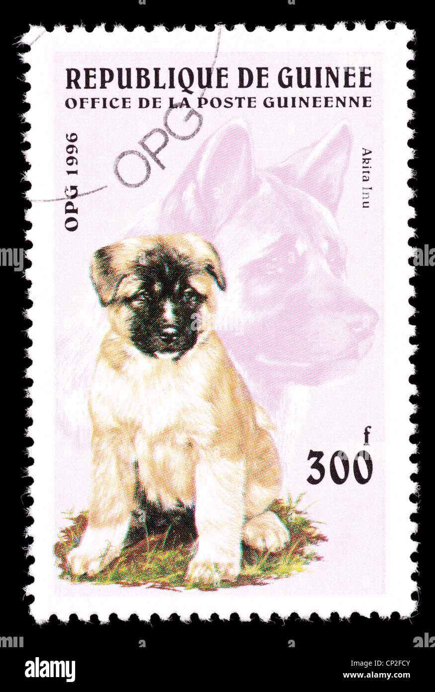 Timbre-poste à partir de la Guinée représentant un chien akita. Banque D'Images