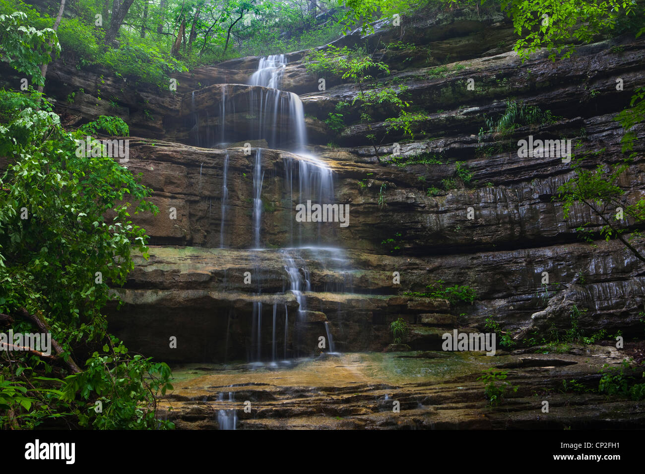 Chute d'eau, monts Ozark de l'Arkansas - USA Banque D'Images