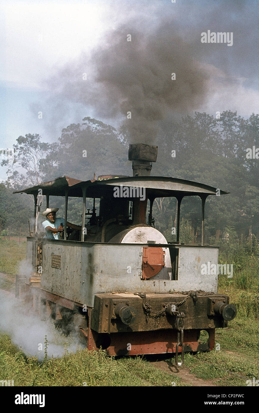 Le dernier tramway à vapeur du monde à l'usine de sucre F.C Azucarera au Paraguay. Banque D'Images