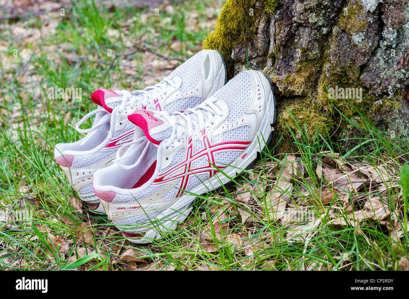 Chaussures de sport Asics à gauche sur l'arbre Banque D'Images