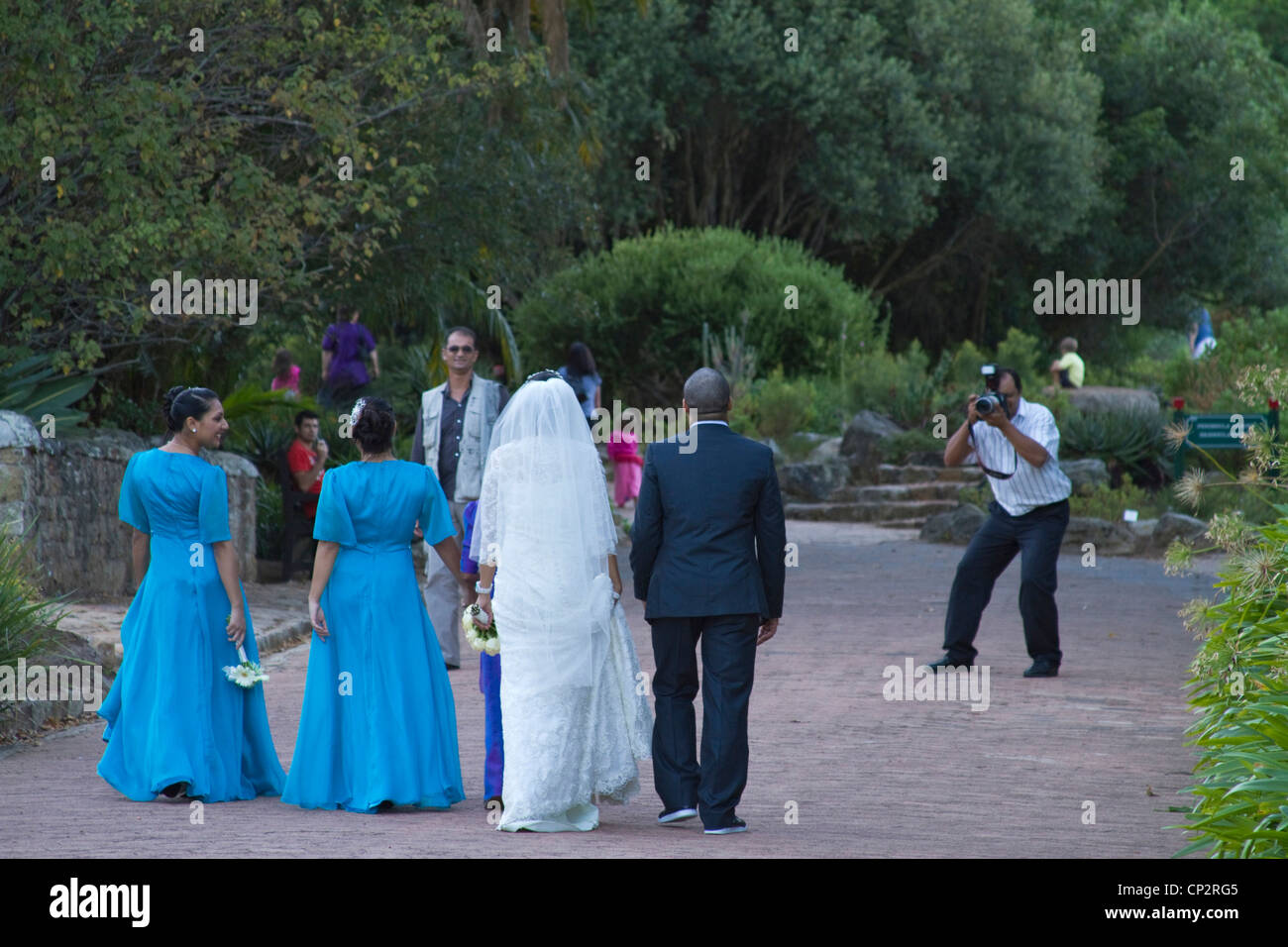 Photographe de mariage à prendre des photos des mariés dans le jardins de Kirstenbosch Banque D'Images