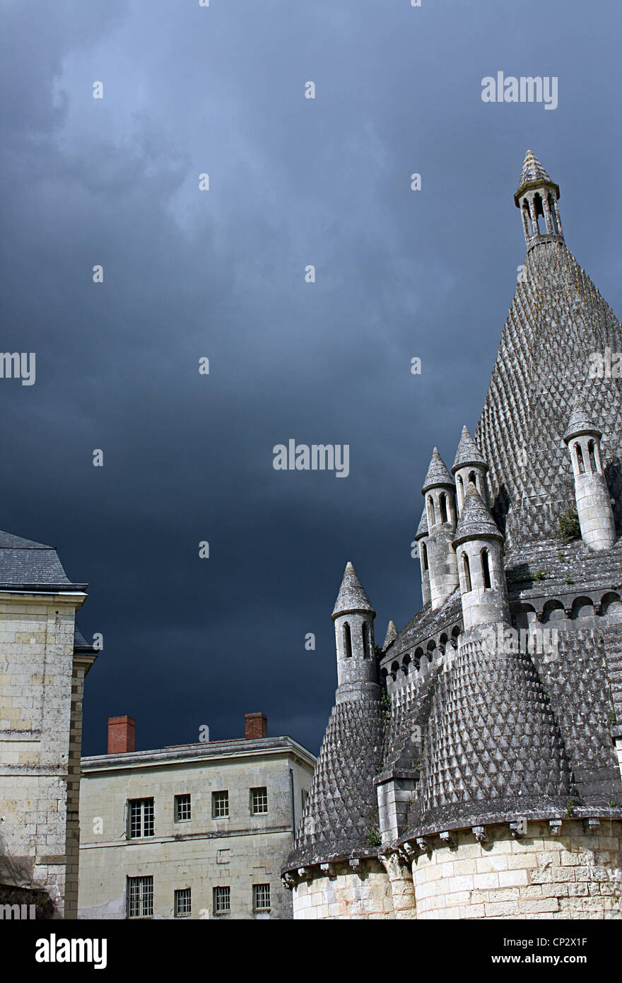 L'Abbaye de Fontevraud, abbaye de Fontevraud, France. Banque D'Images