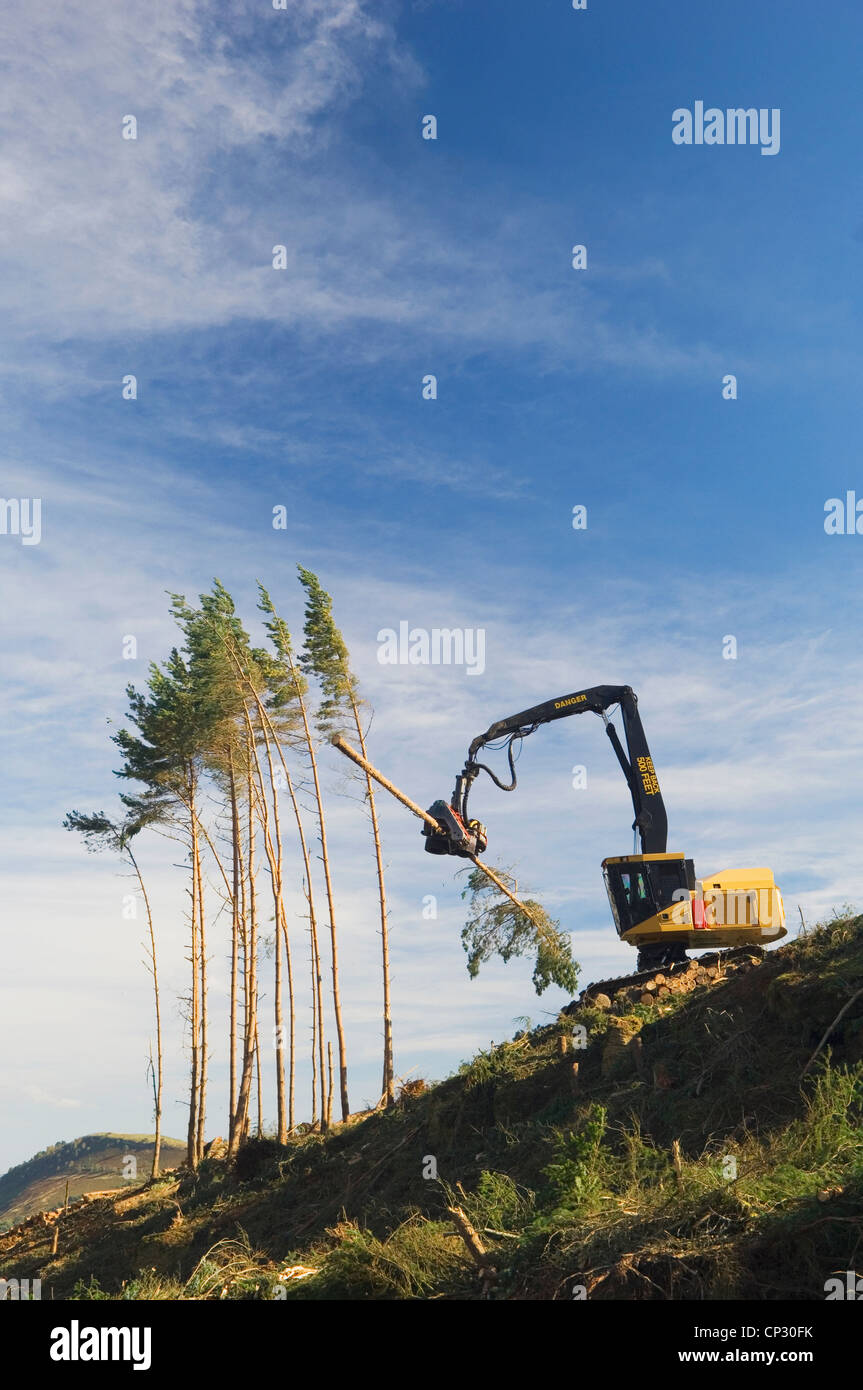 Moissonneuse d'arbres, de Strathpeffer, Ross-shire, en Écosse. Banque D'Images