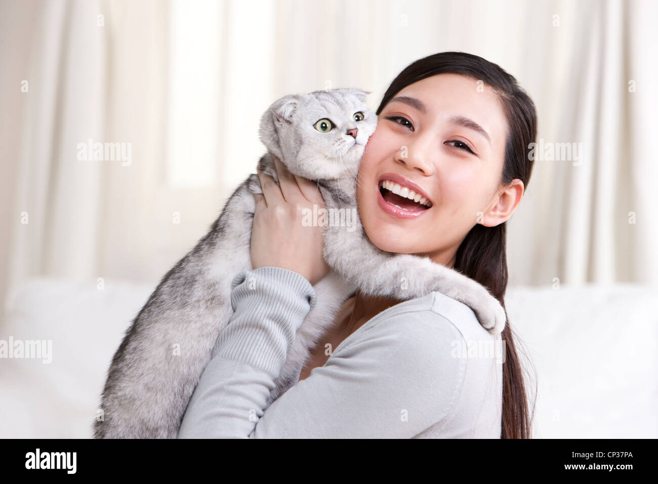 Jeune femme jouant avec un chat Scottish Fold Banque D'Images