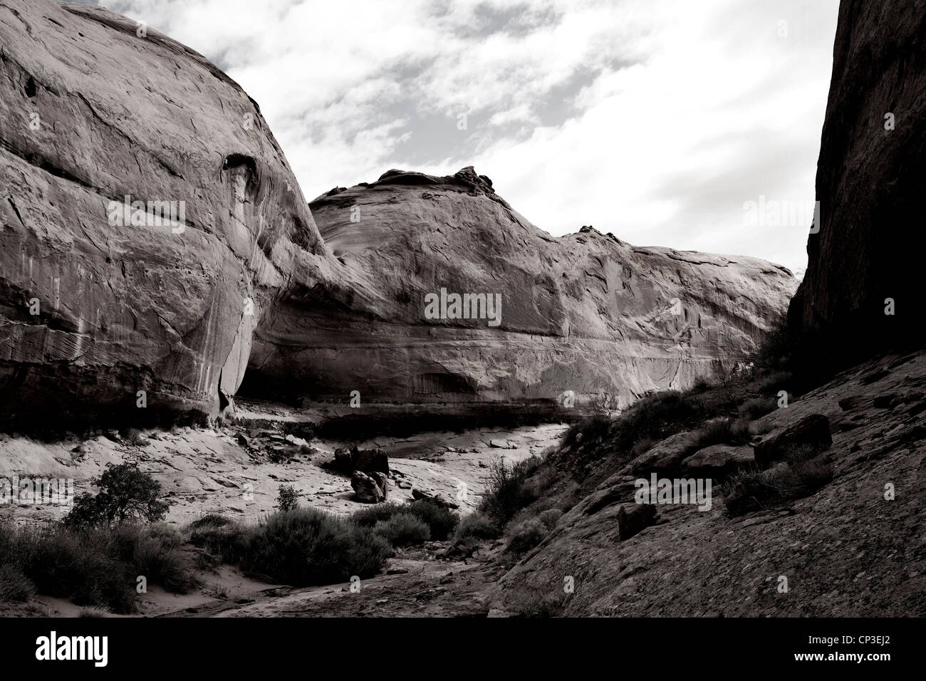 Photographie en noir et blanc du paysage désertique de l'Utah. Banque D'Images