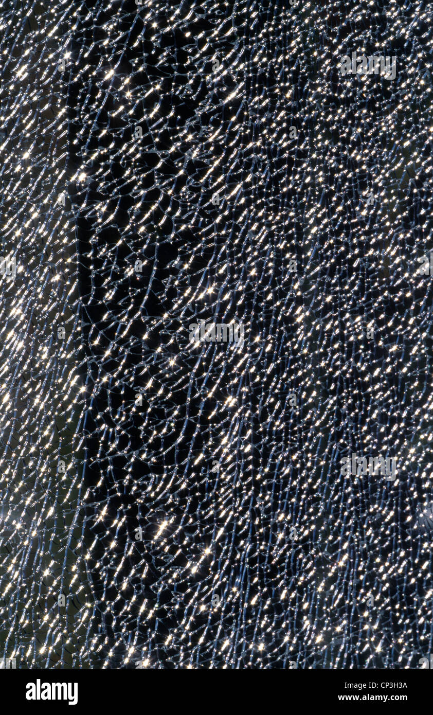 Verre pare-brise fracassé Banque D'Images