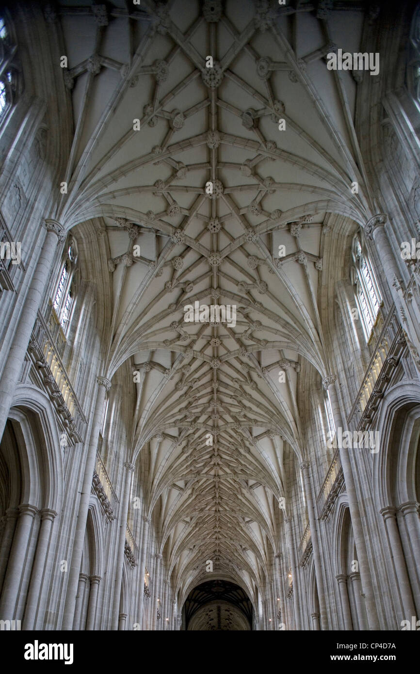 Royaume-uni Angleterre Hampshire Winchester. Intérieur de la cathédrale de Winchester, construit en 1079, dans le style gothique perpendiculaire. Banque D'Images