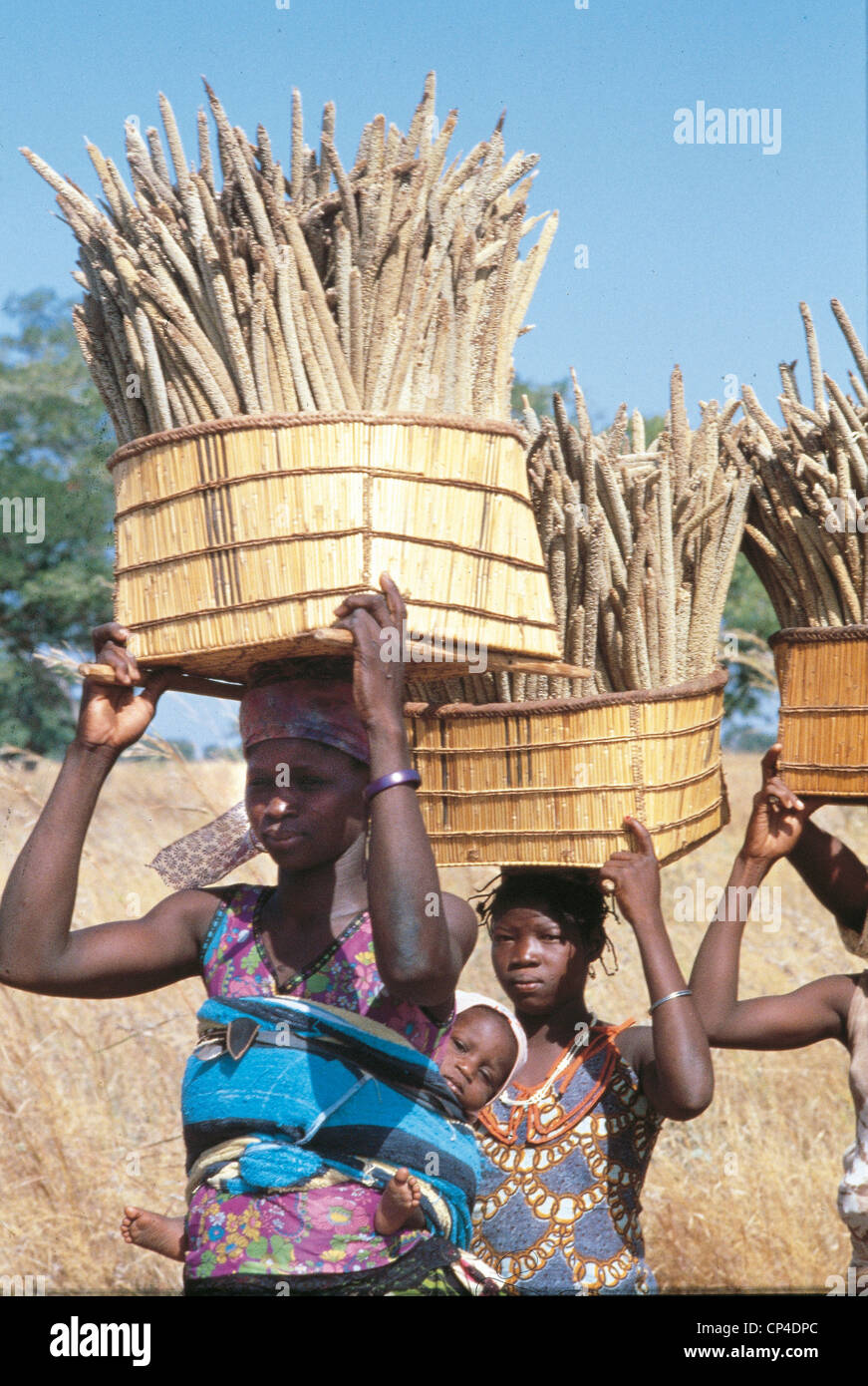 Cameroun - Maroua - Les Femmes portant des paniers de mil panicules. Banque D'Images