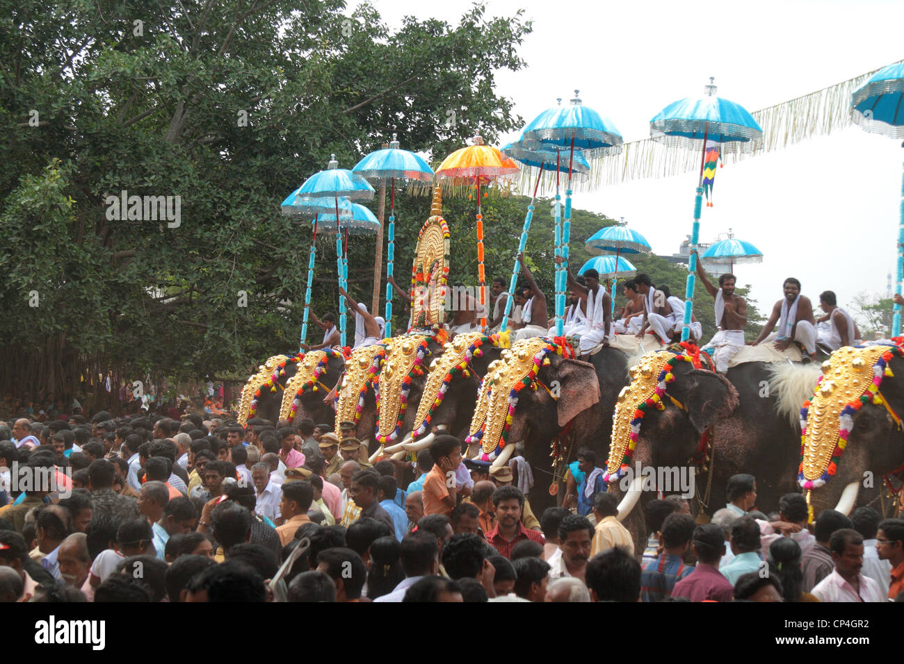 Thrissur pooram, kudamattam, parapluies Banque D'Images