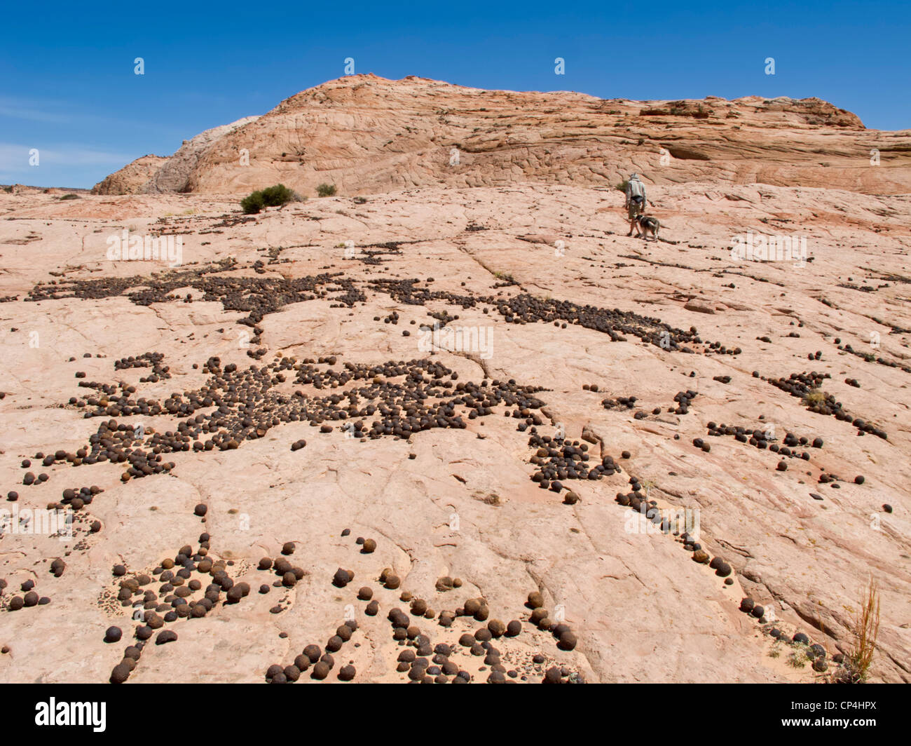 Moqui balls à Grand Staircase-Escalante National Monument (Utah) Banque D'Images