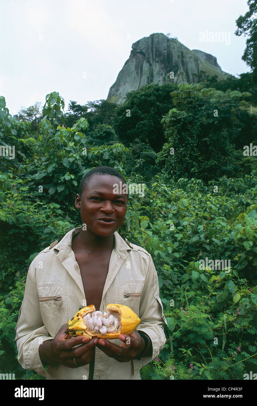 Région du Sud Cameroun Ebolowa. L'homme avec des fruits de cacao, sur fond d'AKO Akas falaise qui s'élève dans les forêts tropicales Banque D'Images