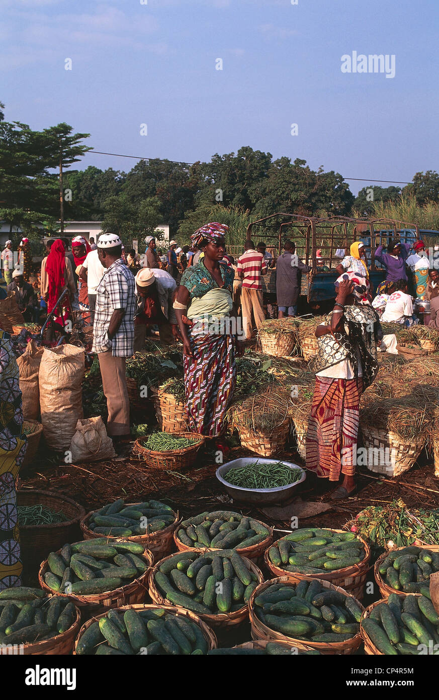 Cameroun - Région de l'Ouest - Foumbot. Les ventes de fruits et légumes au marché. Banque D'Images