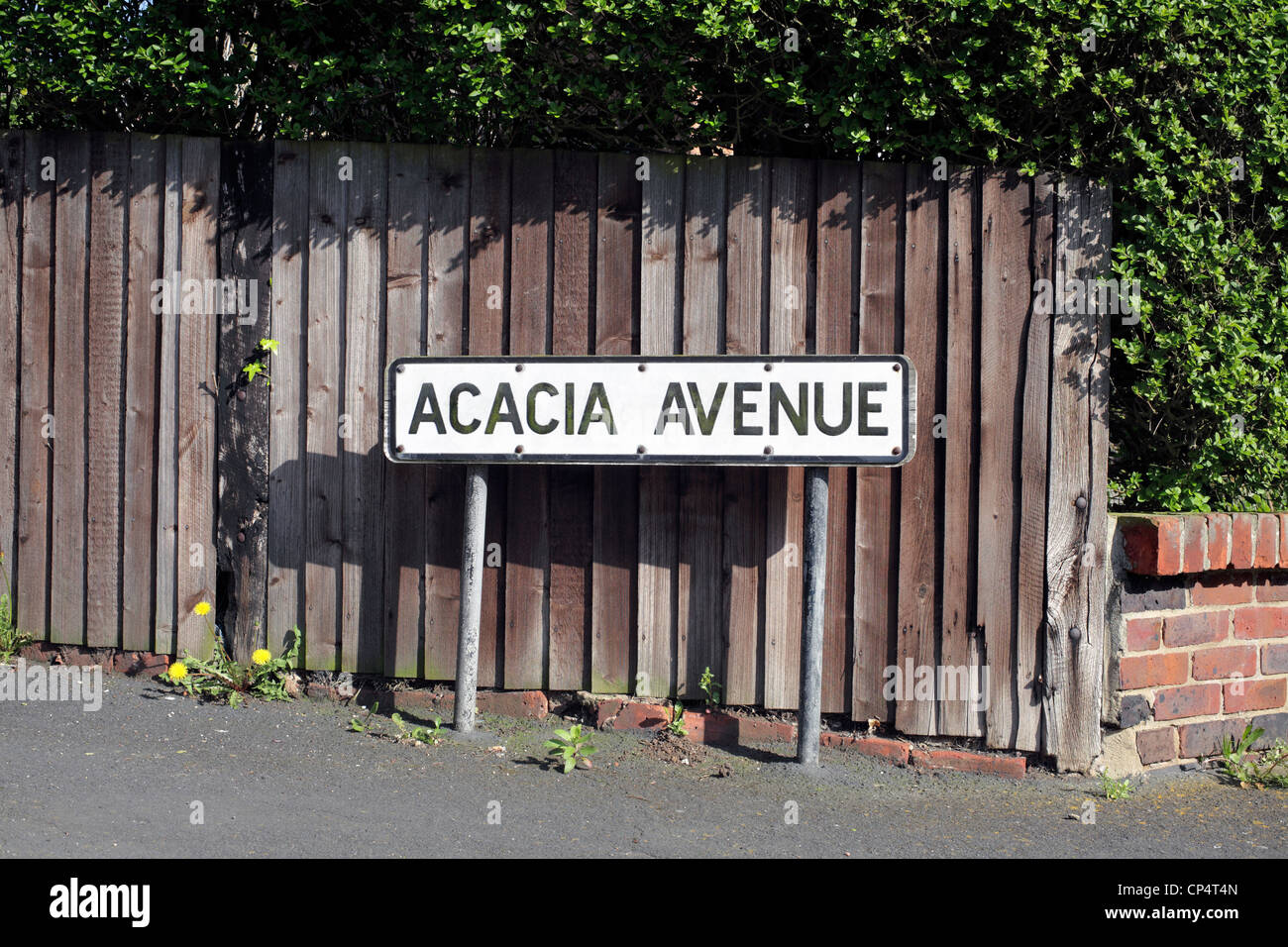 Acacia Avenue Road sign, Hove, East Sussex. Banque D'Images