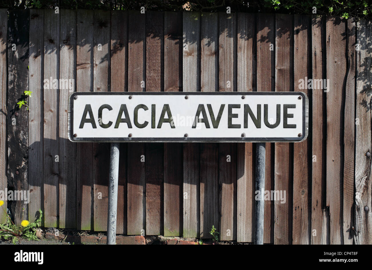 Acacia Avenue Road sign, Hove, East Sussex. Banque D'Images
