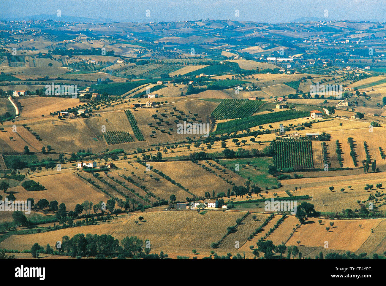 Paysage agricole marques Recanati Banque D'Images